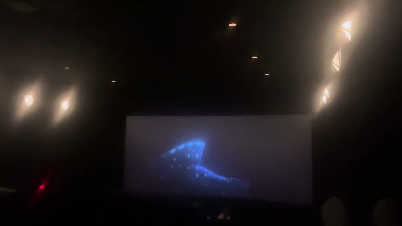 Moana 2 End Credits