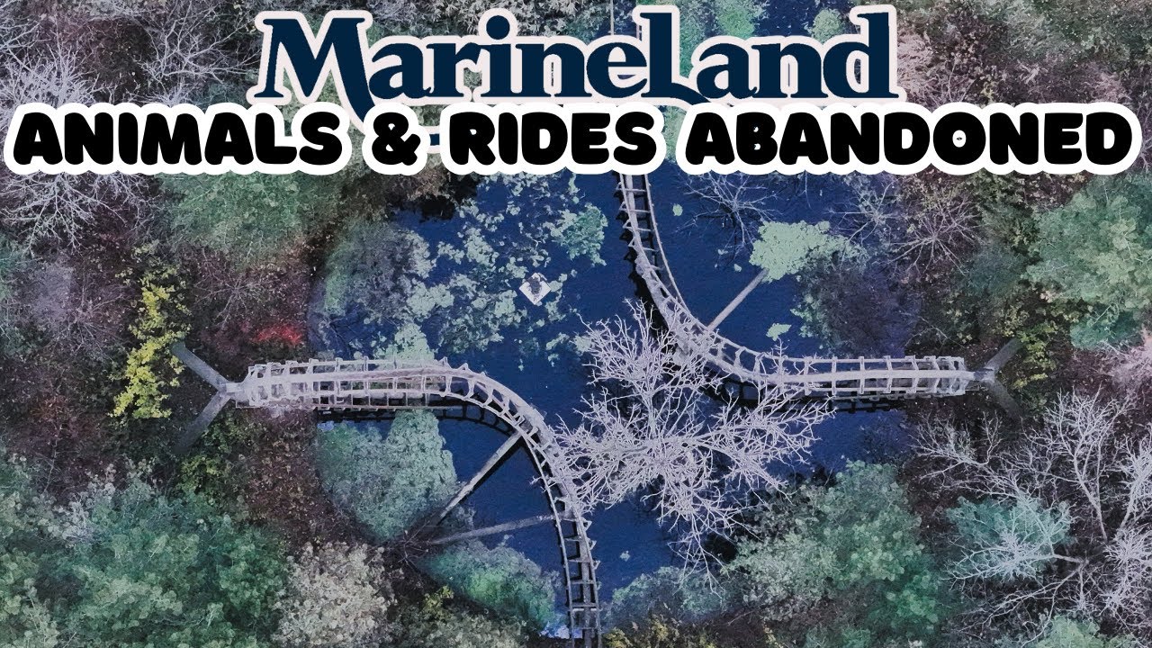 Что осталось от Marineland Canada. Ноябрь 2025 г.
