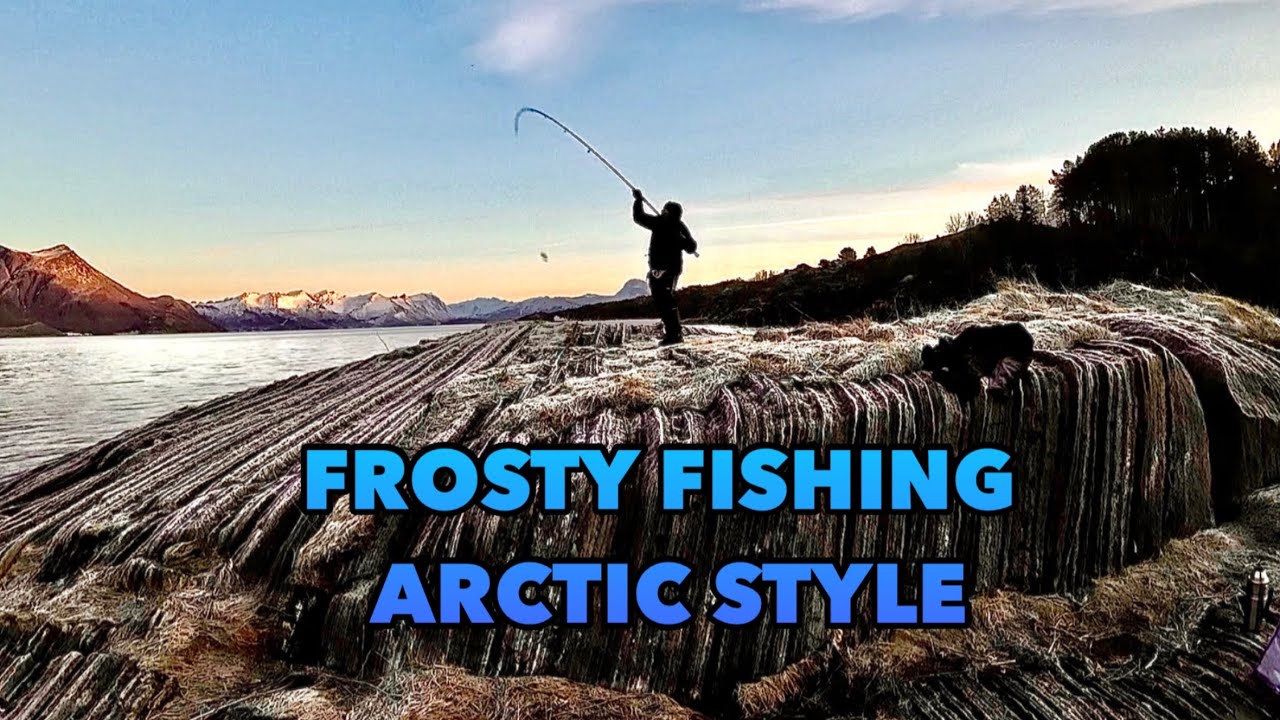 Winter fishing for halibut and cod in arctic Norway!