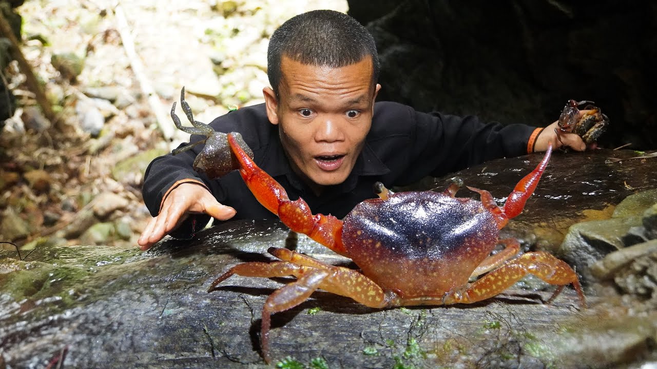 Dwarf family mountain crab hunting trip: Catching and cooking mountain crab - A gift from nature