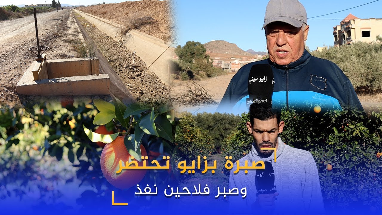 شاهدوا..صبرة بزايو تحتضر وصبر فلاحين نفد