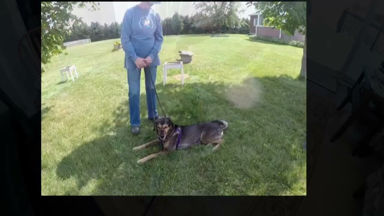 Judy & Roxy Trust Technique Testimonial