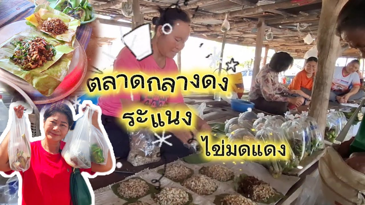 หมกเขียดจนา หอยนาต้ม ส้มตำแซ่บๆ เดินตลาดกลางดงของป่าเพียบ ตลาดกลางดงระแนงห้วยเม็กกาฬสินธุ์