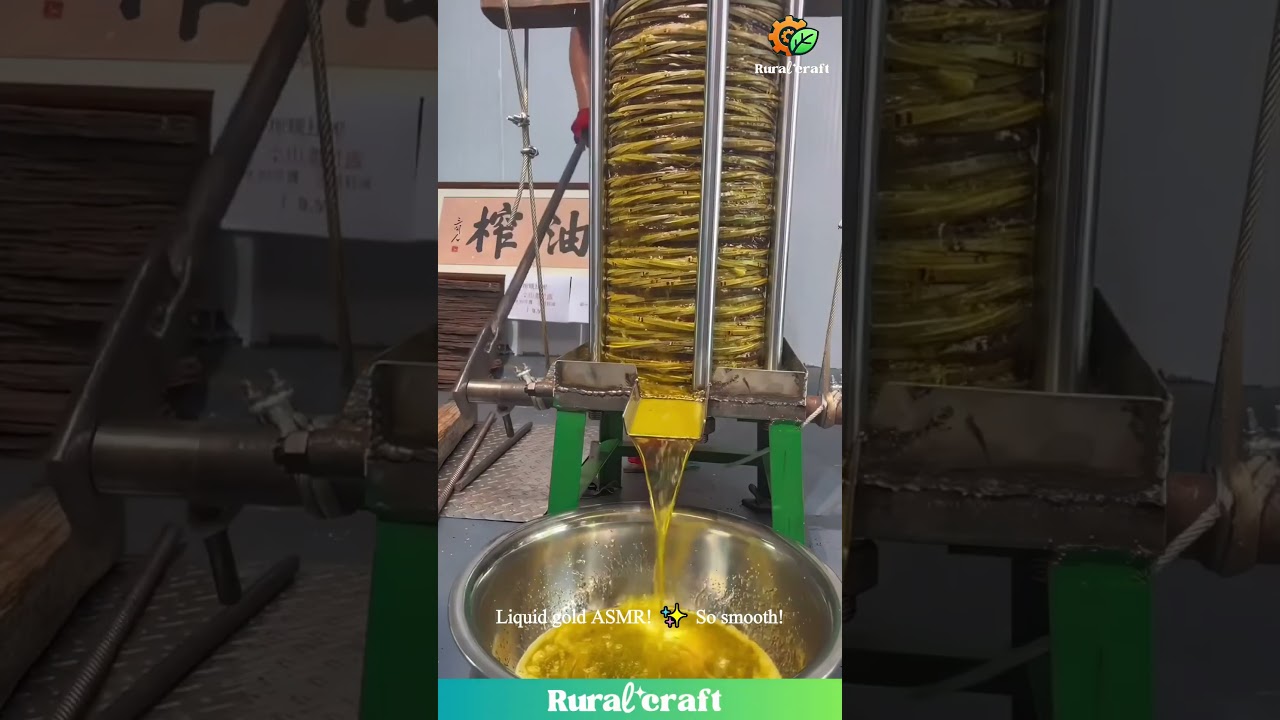 Satisfying Oil Press ASMR! Watching That Golden Liquid Gold Flow is MESMERIZING! #satisfying