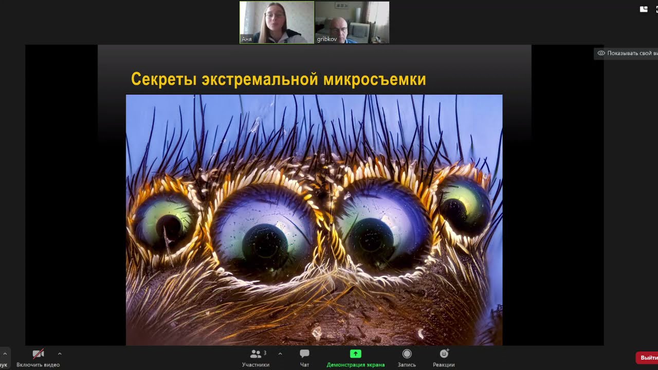Секреты микрофото с экстремальными увеличениями   Михаил Грибков