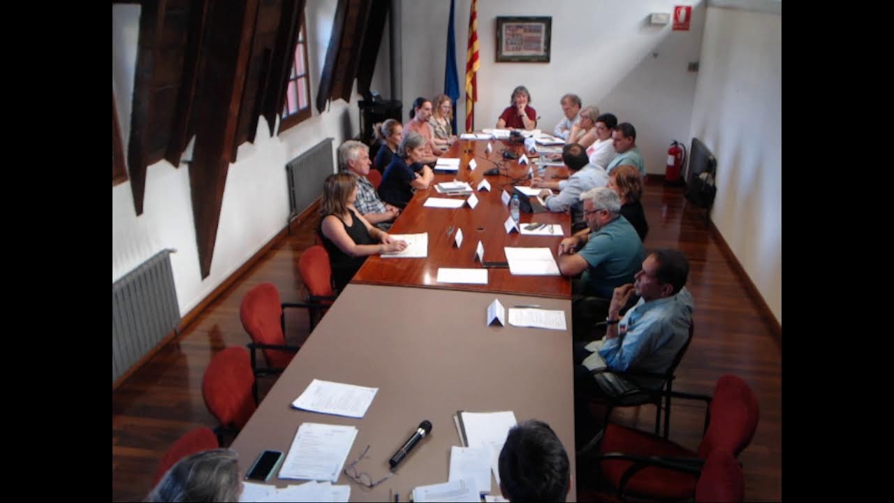 Consell Comarcal Alt Urgell - Ple 31-07-2025
