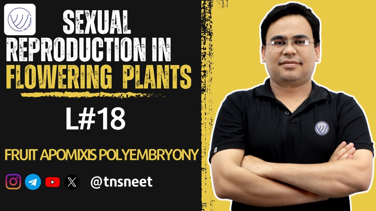 FRUIT DEVELOPMENT | APOMIXIS | POLYEMBRYONY | SEXUAL REPRODUCTION IN FLOWERING PLANTS CLASS 12 | TNS
