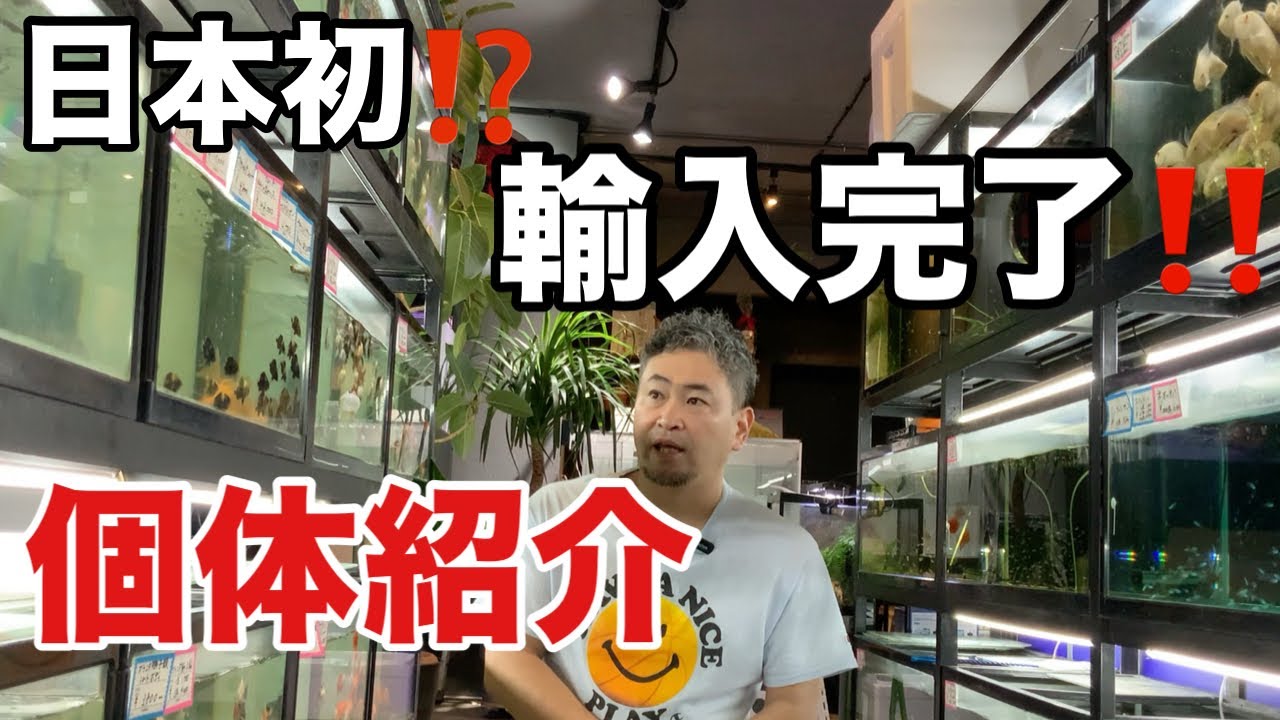 日本初⁉️輸入完了
