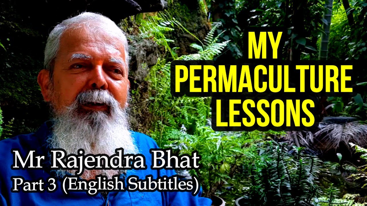 My Permaculture Guru, Mr Rajendra Bhat (Part3) #permaculture #organicfarming #agriculture #gardening