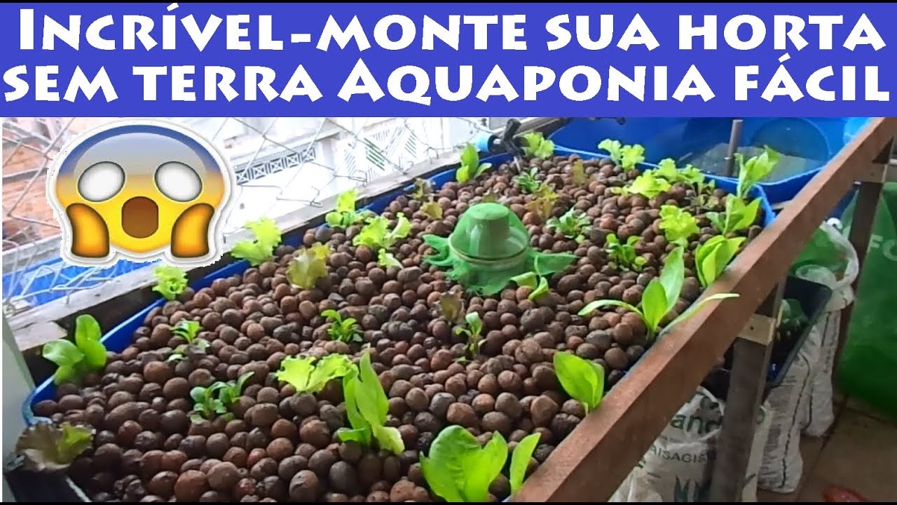 Incr&iacute;vel Produza sua Horta sem terra, atrav&eacute;s de res&iacute;duos dos peixes Aquaponia f&aacute;cil