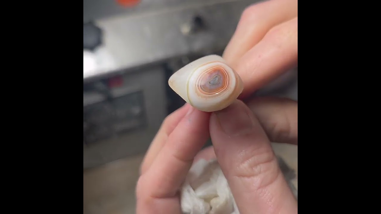 Full process of cutting the 02/06/2026 cabochon of the day! Agate Eye!