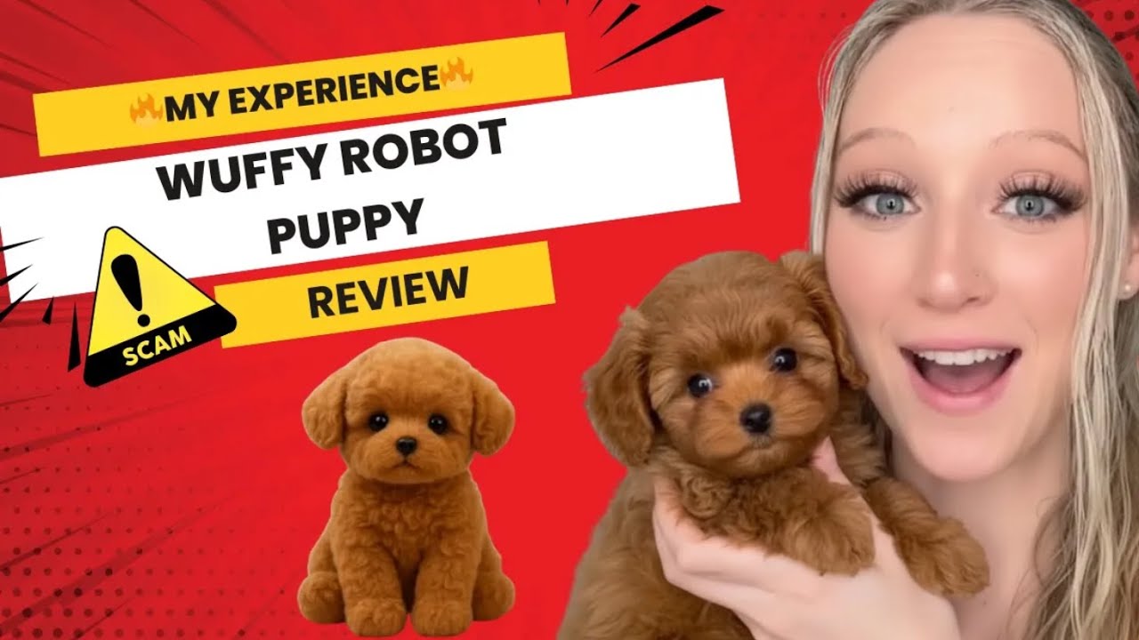 Wuffy Robot Puppy &ndash; The robot that won everyone over at home