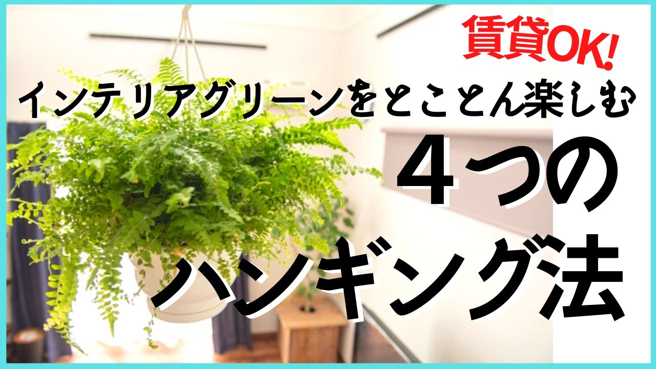 【賃貸OK】ハンギンググリーンを楽しむ４つの方法！管理の仕方やオススメの植物までご紹介します♪