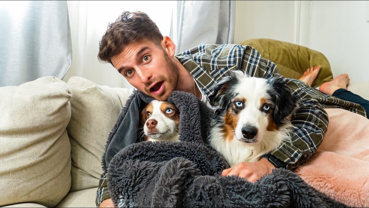 My dog didn’t like me at first..
