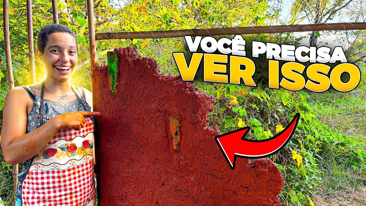😱 SERÁ QUE CAIU? A VERDADE SOBRE a PAREDE de BARRO