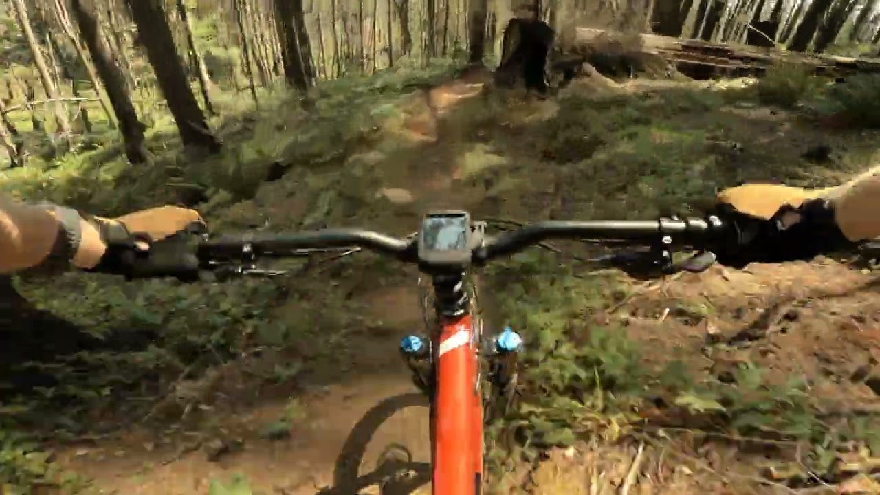 Shellburg Falls, Bobblehead