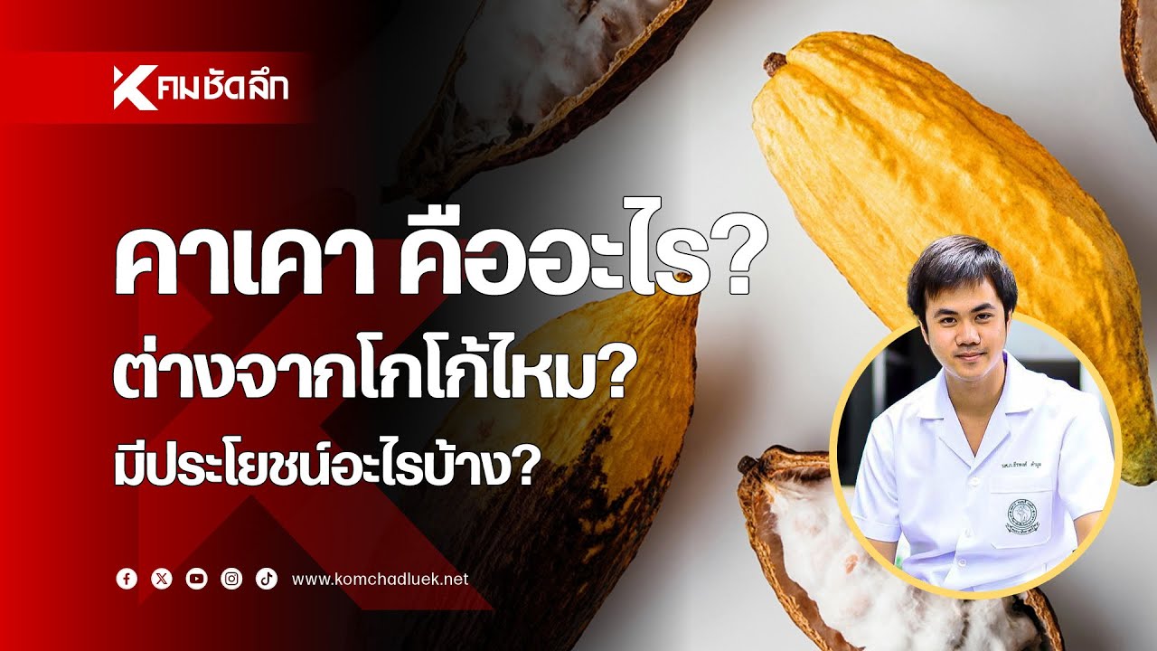 คาคาว คืออะไร? ต่างจากโกโก้ไหม? มีประโยชน์อะไรบ้าง? | NWSbb311 : คมชัดลึกออนไลน์