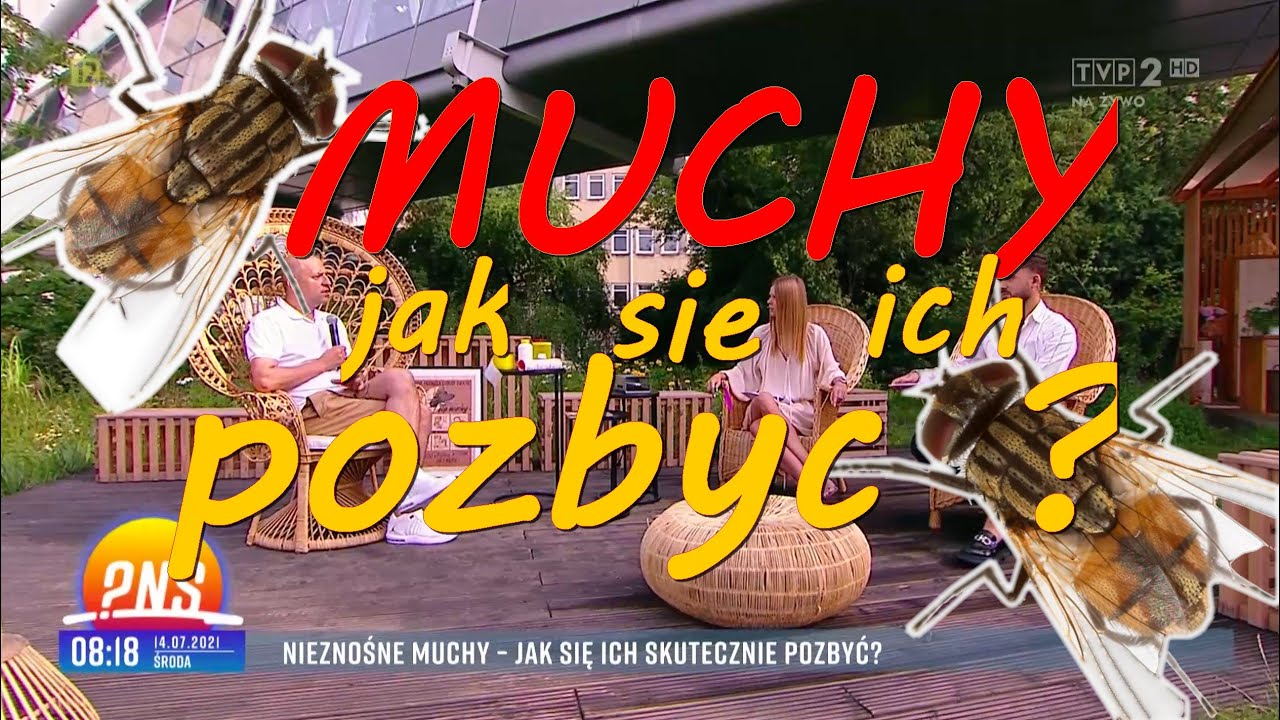 Nieznośne muchy &ndash; jak się ich pozbyć Eryk Połeć w PNŚ