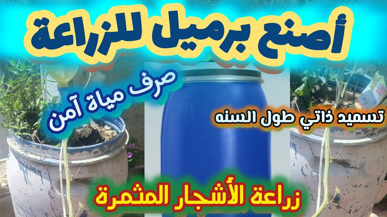 اصنع برميل لزراعة الأشجار المثمرة ( بأقل تكلفة + صرف آمن للمياة + تسميد ذاتي )