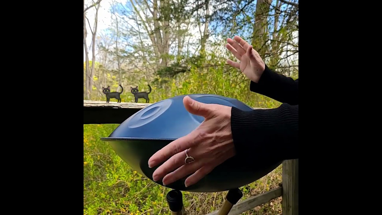 1 Minute Melodies - Handpan - C# Major + Ysha Savita - Song 34 #handpan #shorts