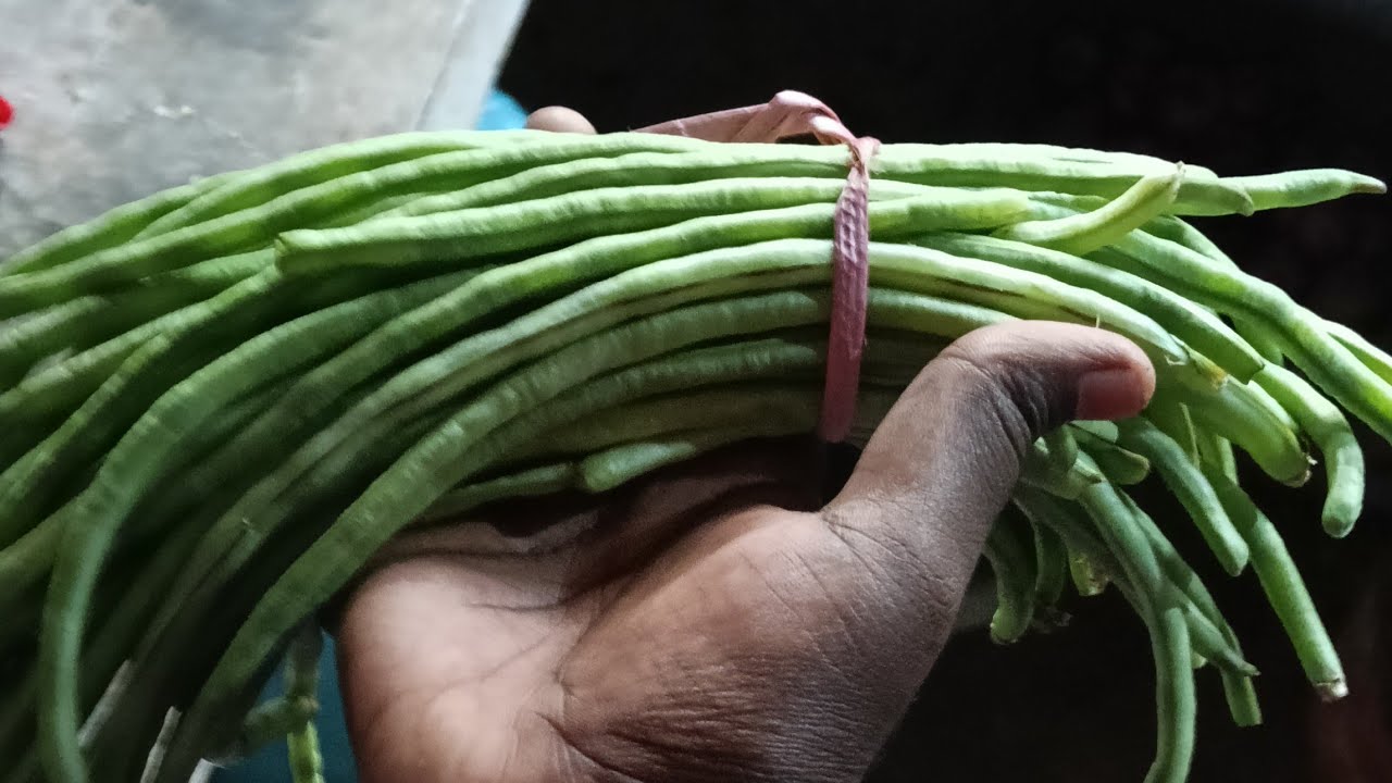 பயிர் கட்டிங் பயிர் கூட்டு அந்த வீடியோ குள்ள போலாம்