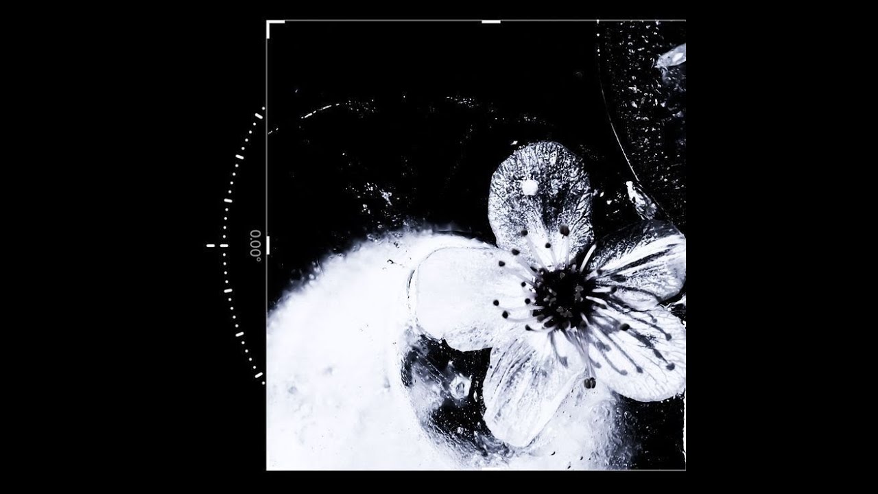 (free)ambient + experimental + fxn type beat-