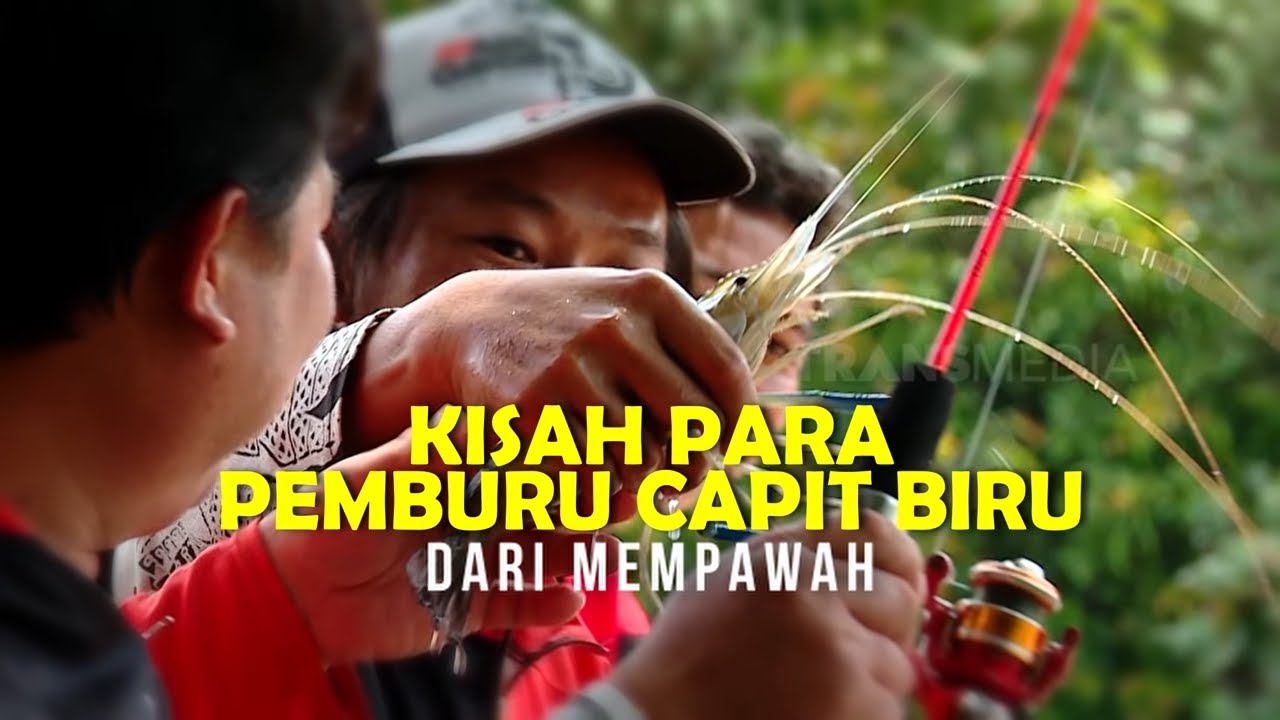 Kisah Para Pemburu Capit Biru Dari Mempawah | SECRET STORY (12/02/26)