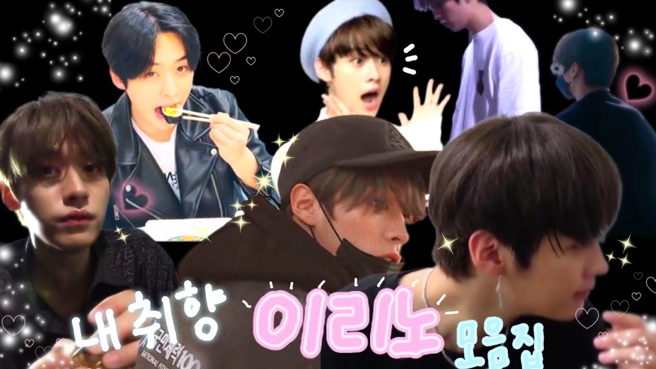 (스트레이키즈/리노)내 취향 이리노 모음집📂 + 기억조작 + 콧대 ...+🐰🐱 💓