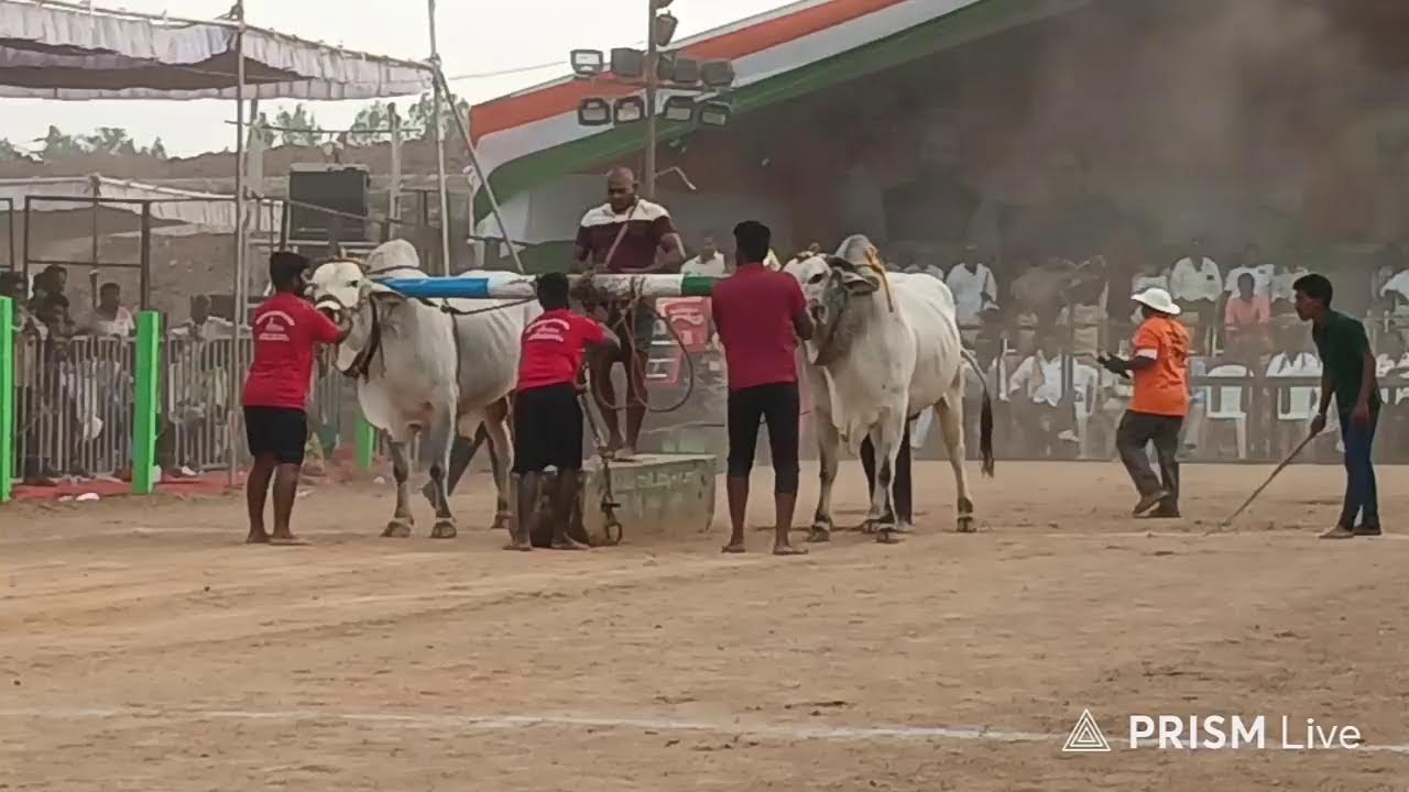 మేళ్లచెరువు9వ PSR BULLS ఈశ్వర్ ప్రణయ్ యాదవ్ గారు&  సుఖవాసి సతీష్ బాబు గారు