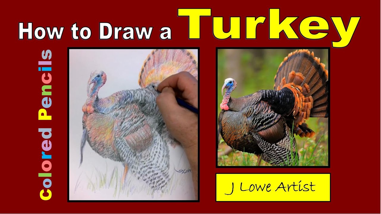 HOW TO DRAW A TURKEY WITH COLORED PENCILS Step by Step