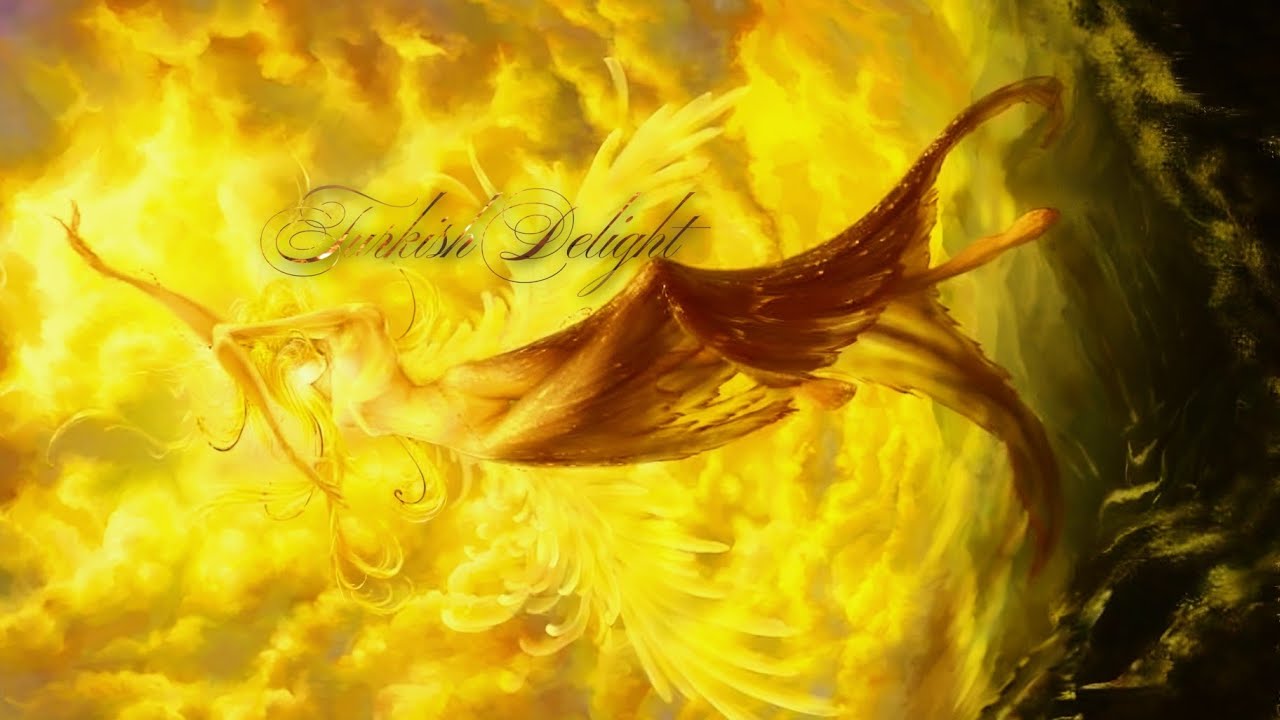 Oh... Angels are 𝓣urkish 𝓓elights [ 🌟 ]