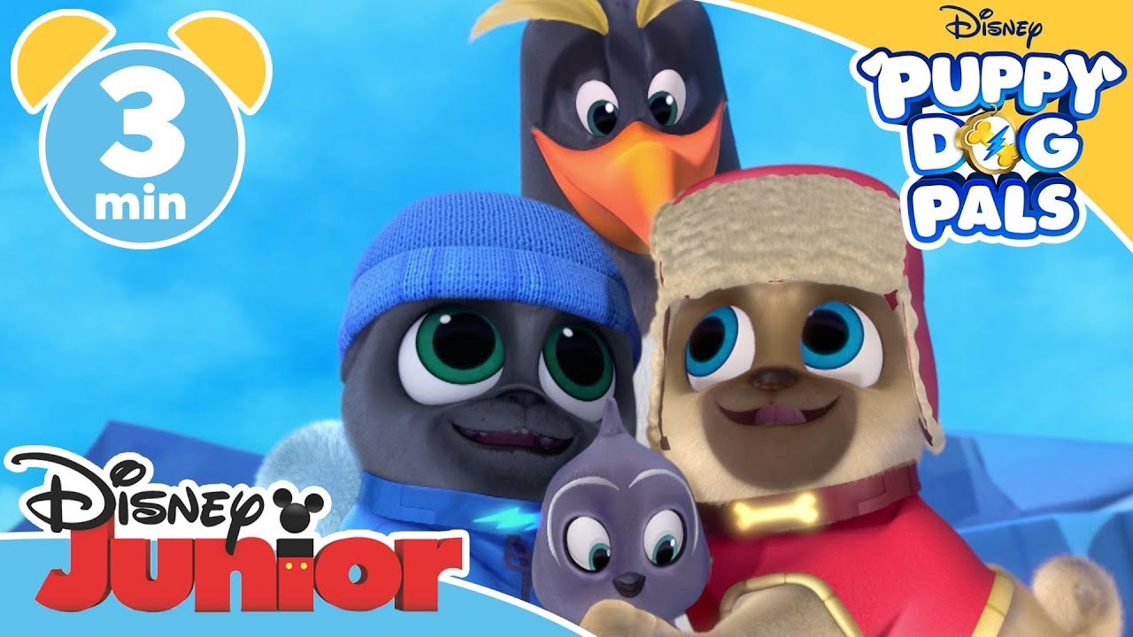 Puppy Dog Pals | South Pole Adventure  - Magical Moment | 