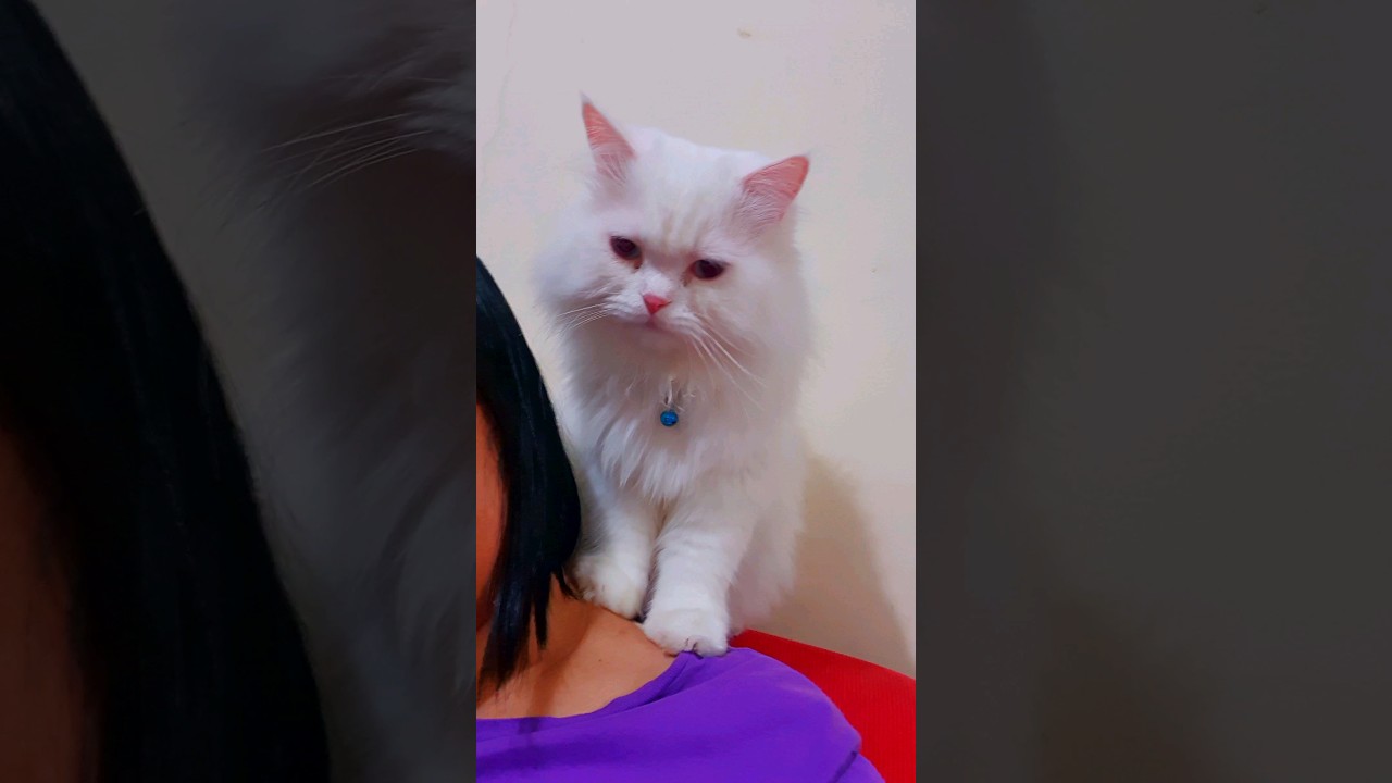 🥰Bonding moments  with my sweetest baby boy 
