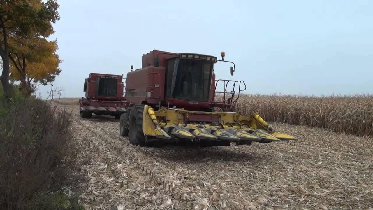 Case IH - Kukurydza