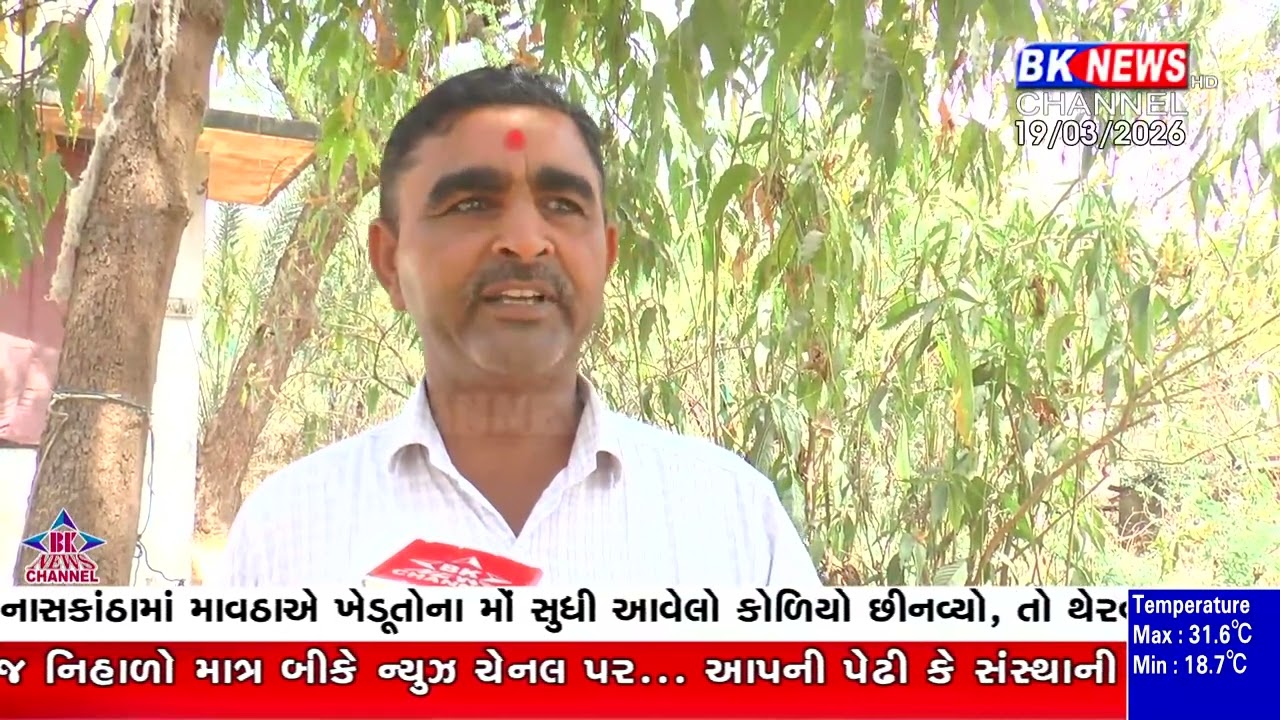 ખેત તલાવડીથી કમાલ, 3 વિઘામાં 18 બોરી રાયડો ખેડૂત બન્યો મિસાલ..!