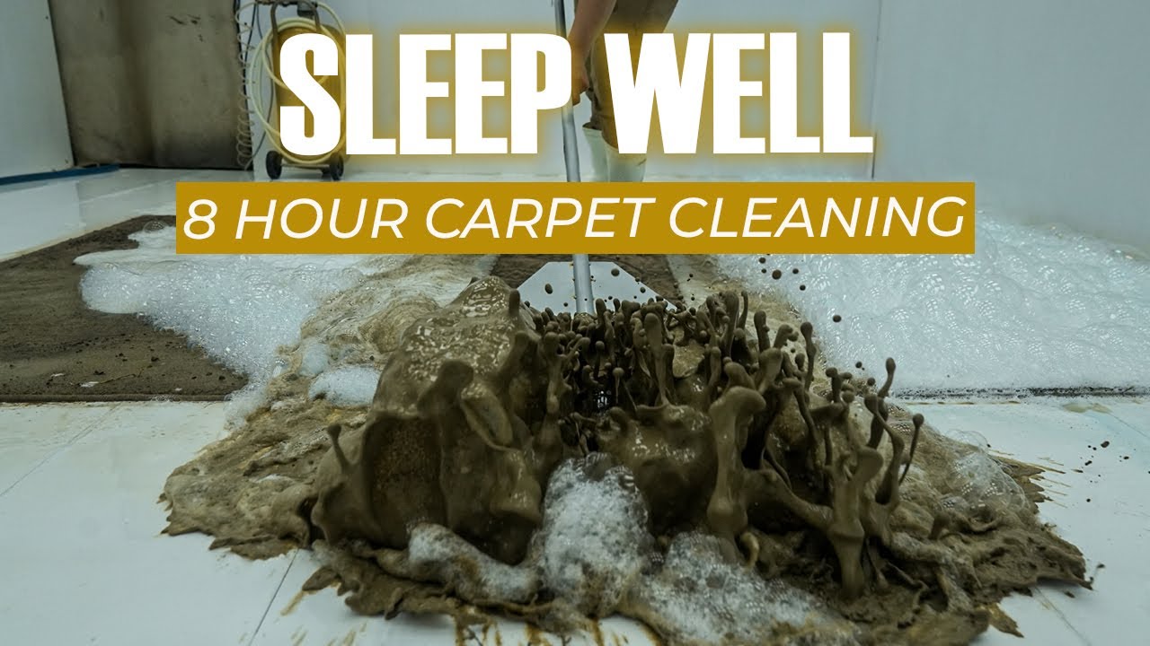 8 Hours Magic Carpet Cleaning Helps You Sleep Deeply - ASMR Sleep - Deep Sleep