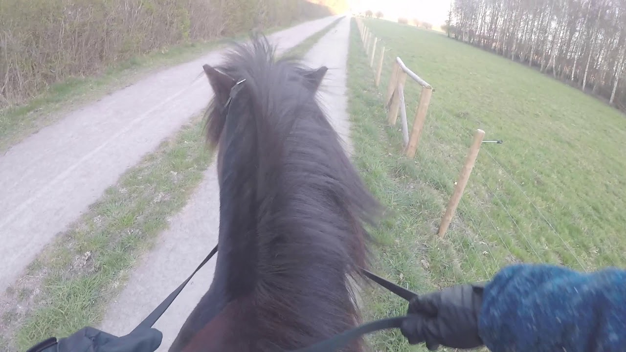 FÖLJ MED PÅ FLYGANDE PASS - GO PRO