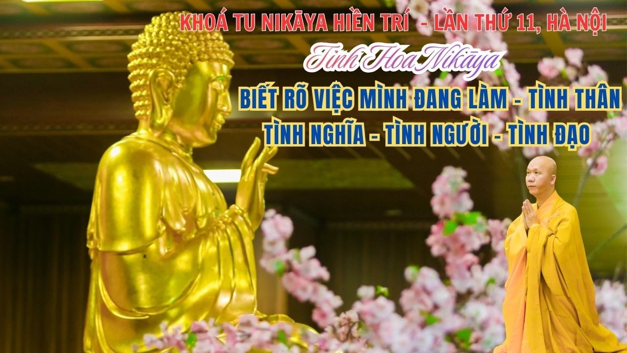 Tinh Hoa NIKAYA - Biết Rõ Việc Mình Đang Làm - Tình Thân - Tình Nghĩa - Tình Người - Tình Đạo