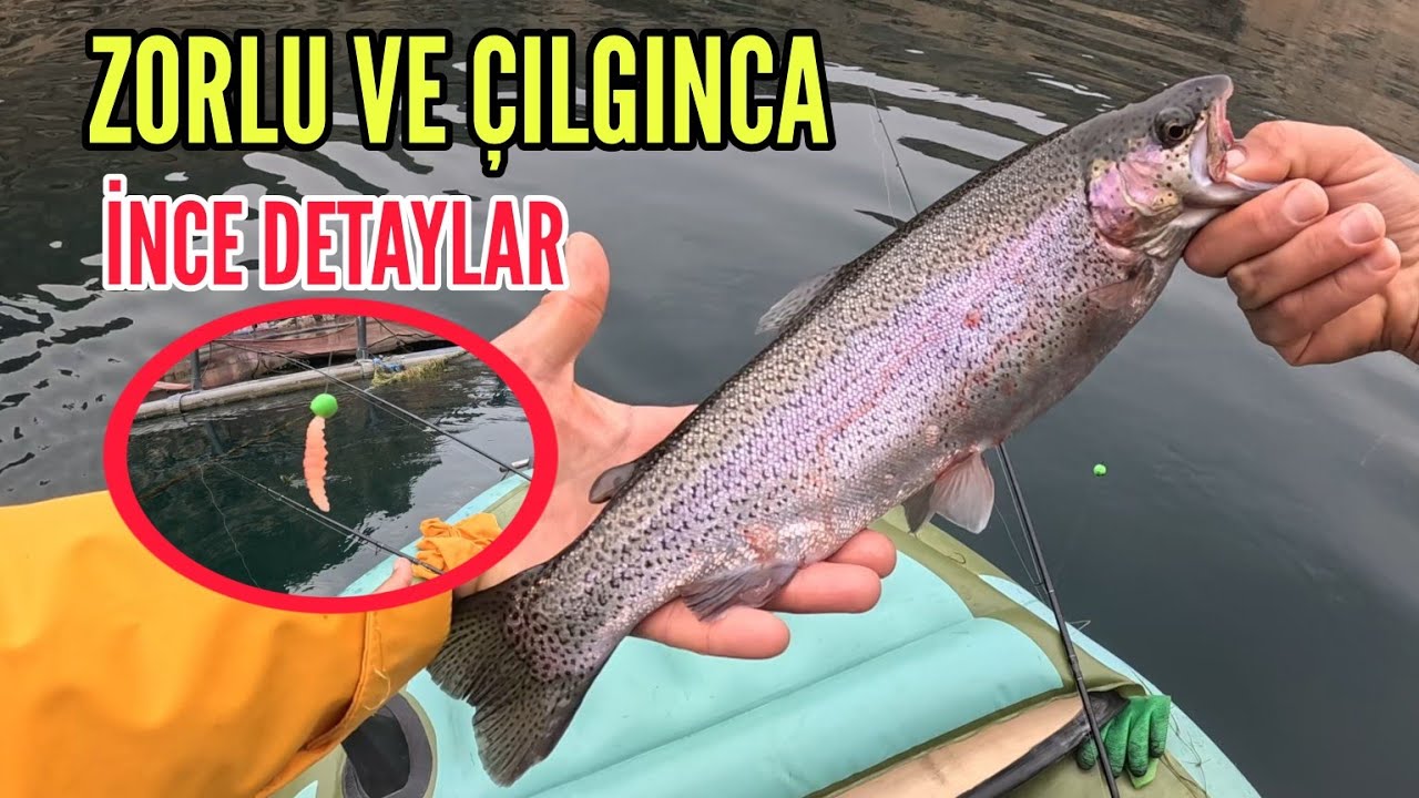 Ловля стальной форели, Ловля радужной форели