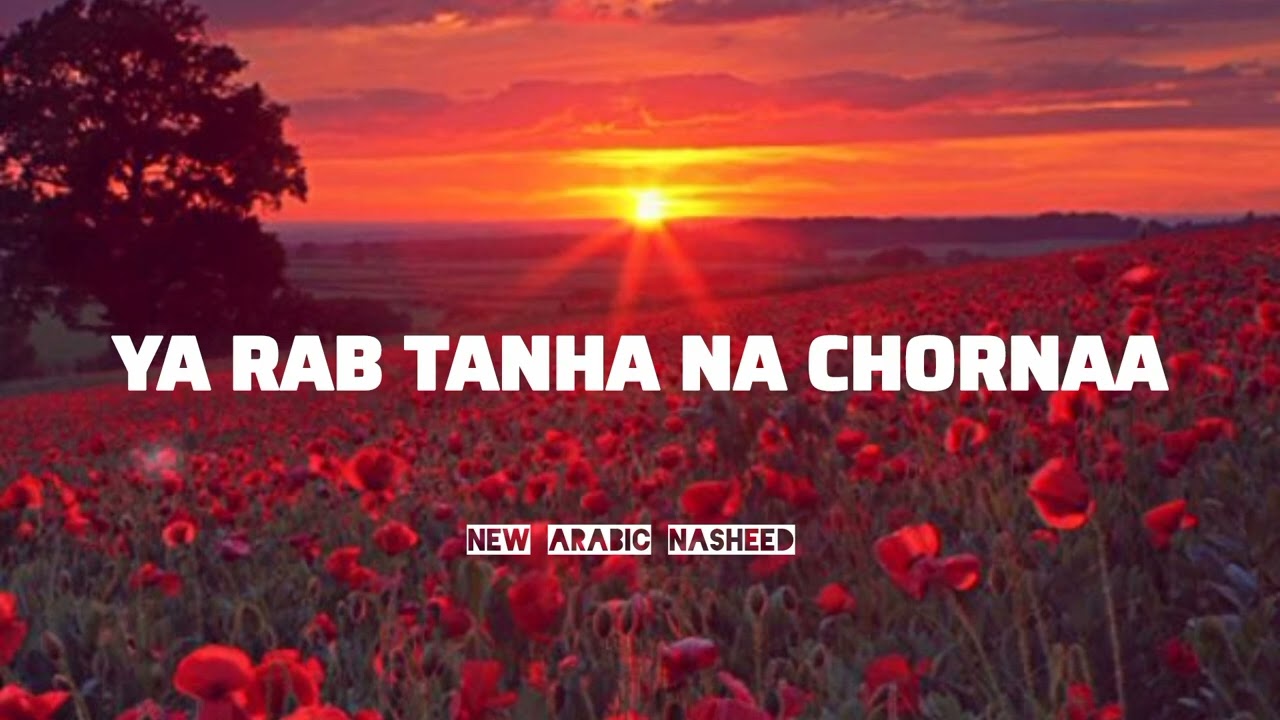 Ya Rab Tanha Na Chornaa - | A Powerful Nasheed By Sirajesthetic Vibes 