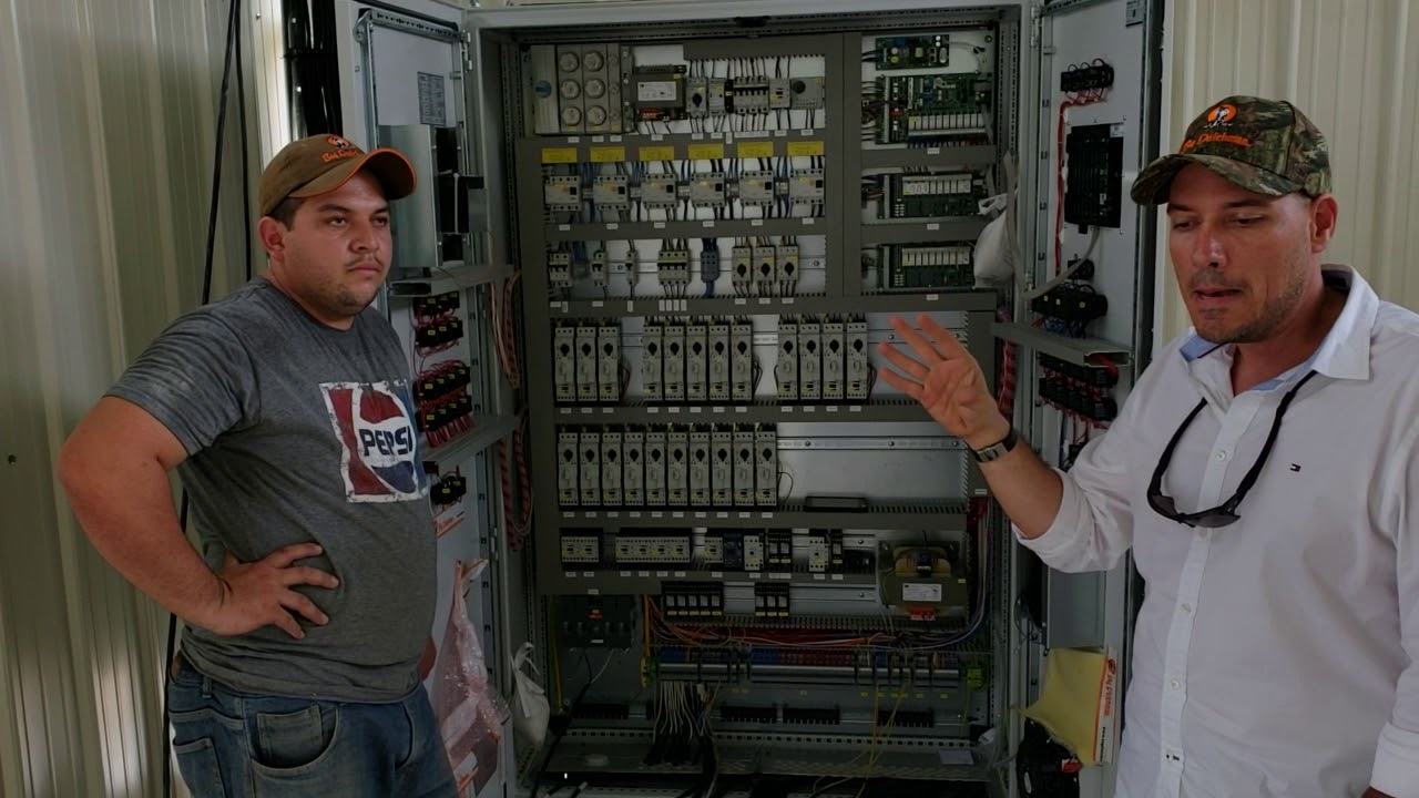 BIG DUTCHMAN Y AGRICON FULL AUTOMATIZACIÓN Y GALPON  (LLAVE EN MANO)