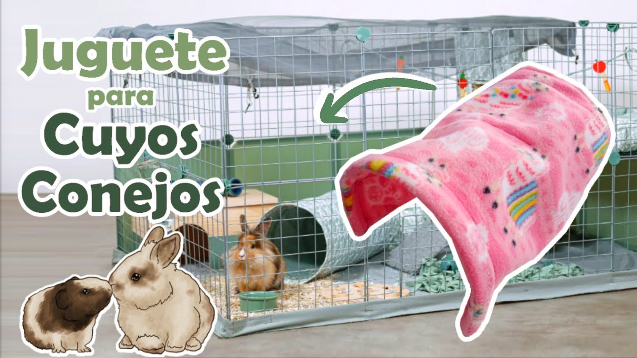 Como hacer un JUGUETE para Conejos Casero