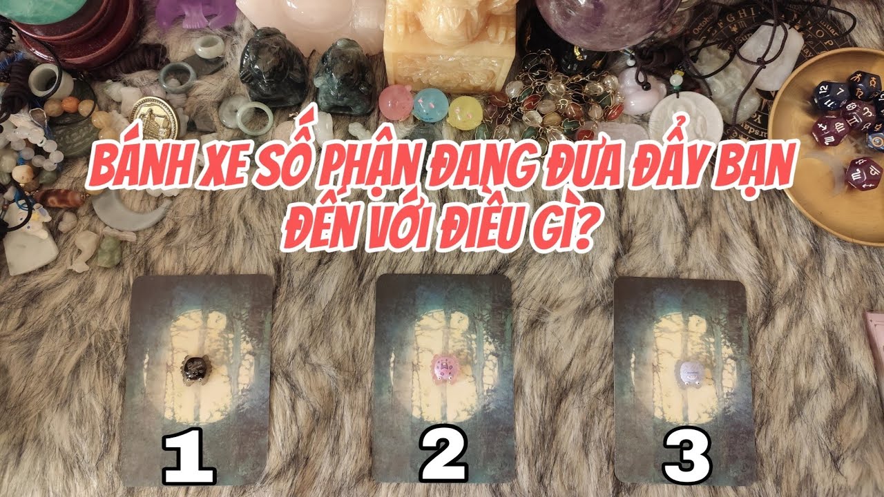 Bánh xe số phận đang đưa đẩy bạn đến với điều gì?