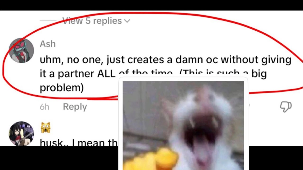 Reading shipping comments from the TikTok community 