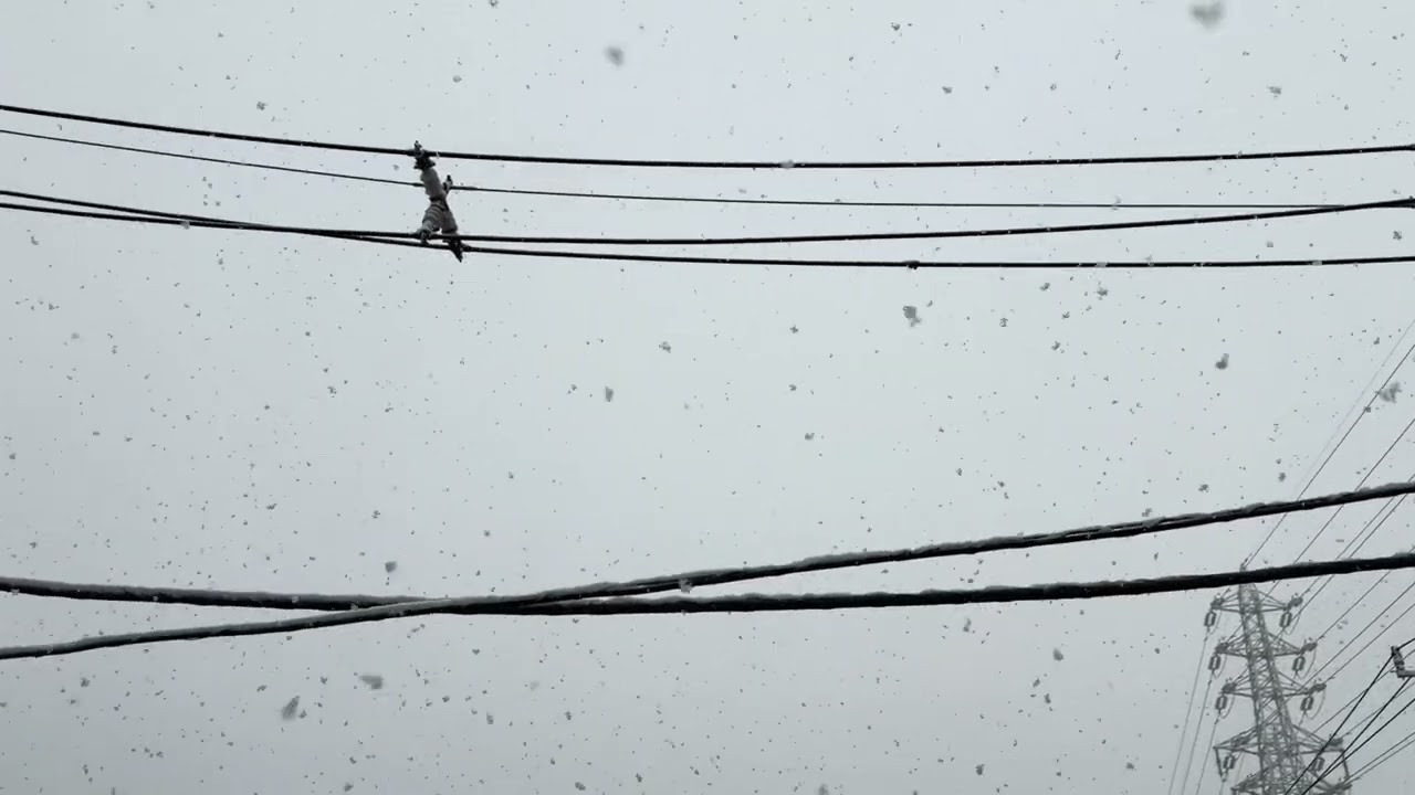 2026年2月8日　雪