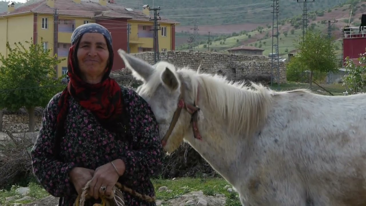 zêw/seyîdê bêcirman
