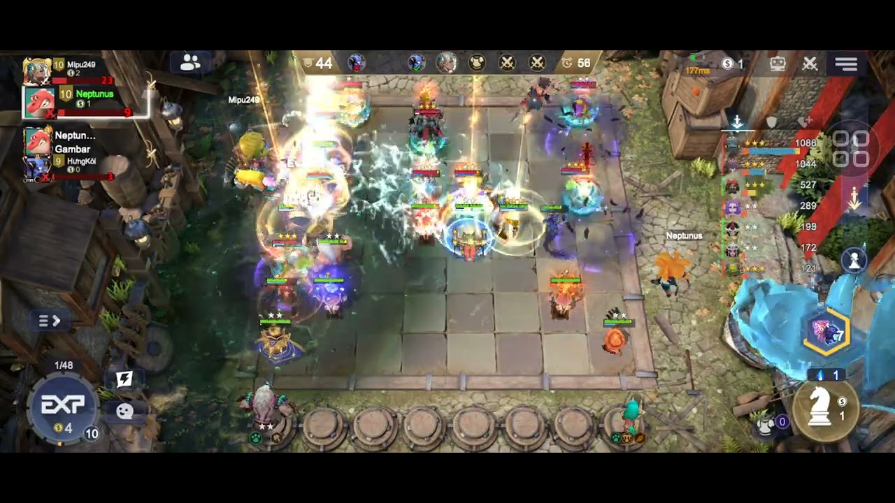 Full Duvinity Totem Pirate - Auto Chess Mobile