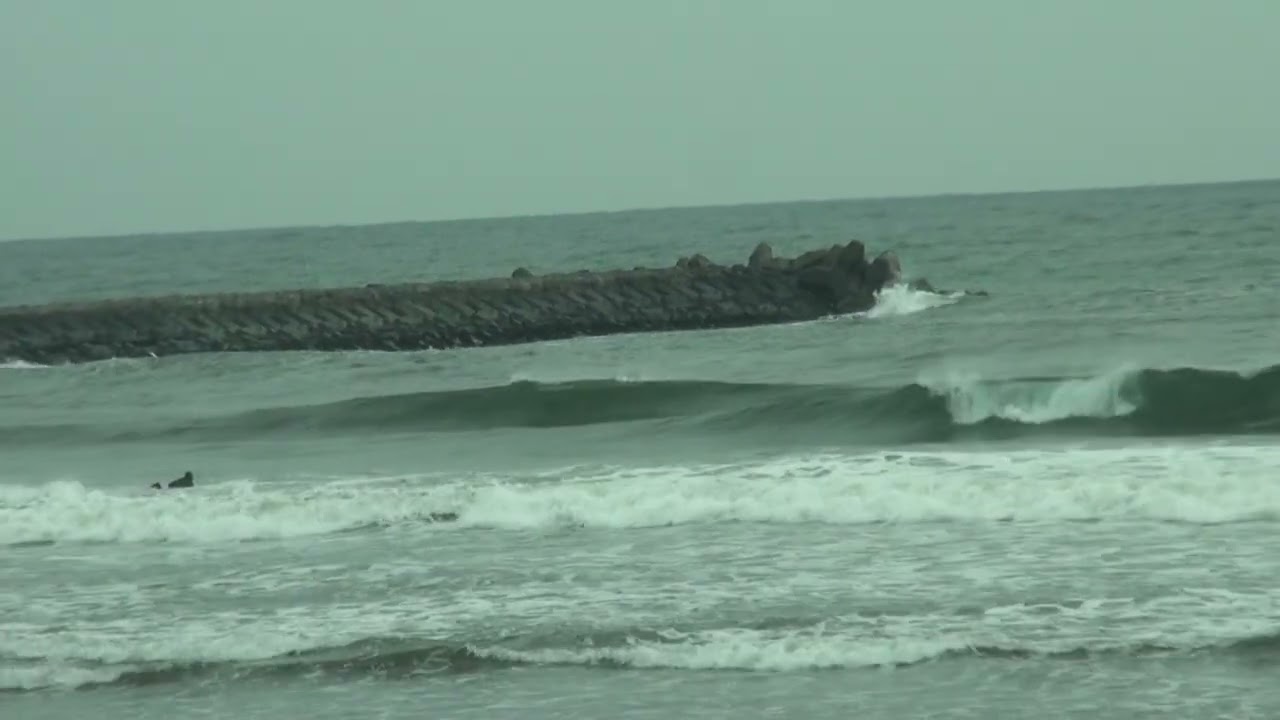 波動画20260225