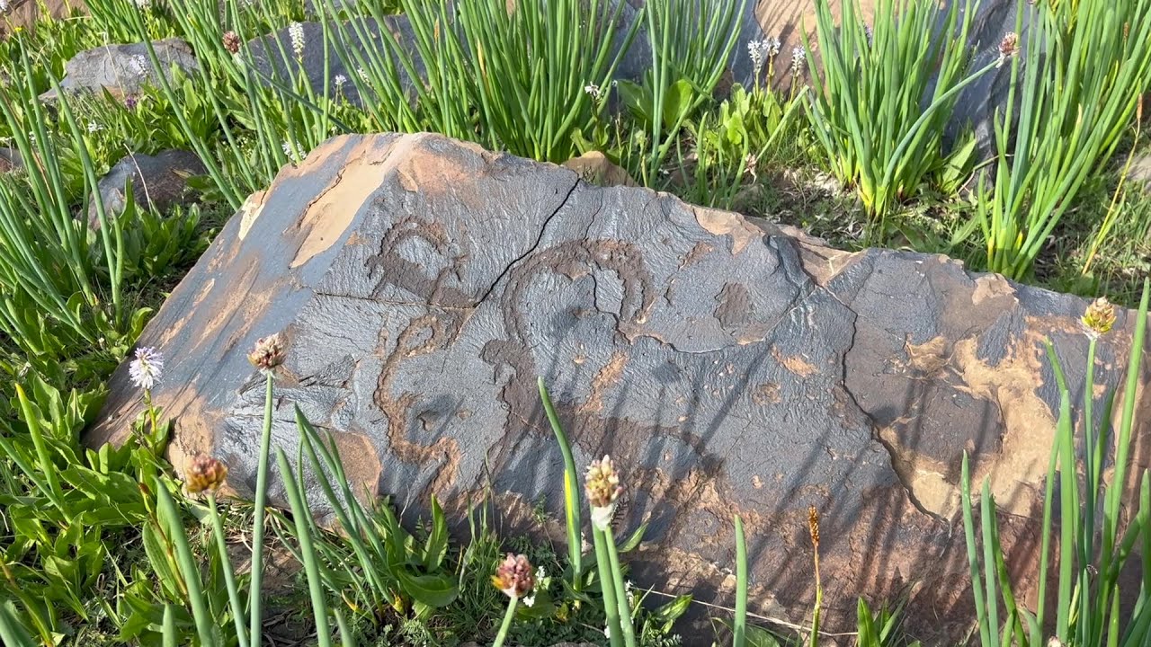 Saymaluu-Tash Petroglyphs || Kyrgyzstan
