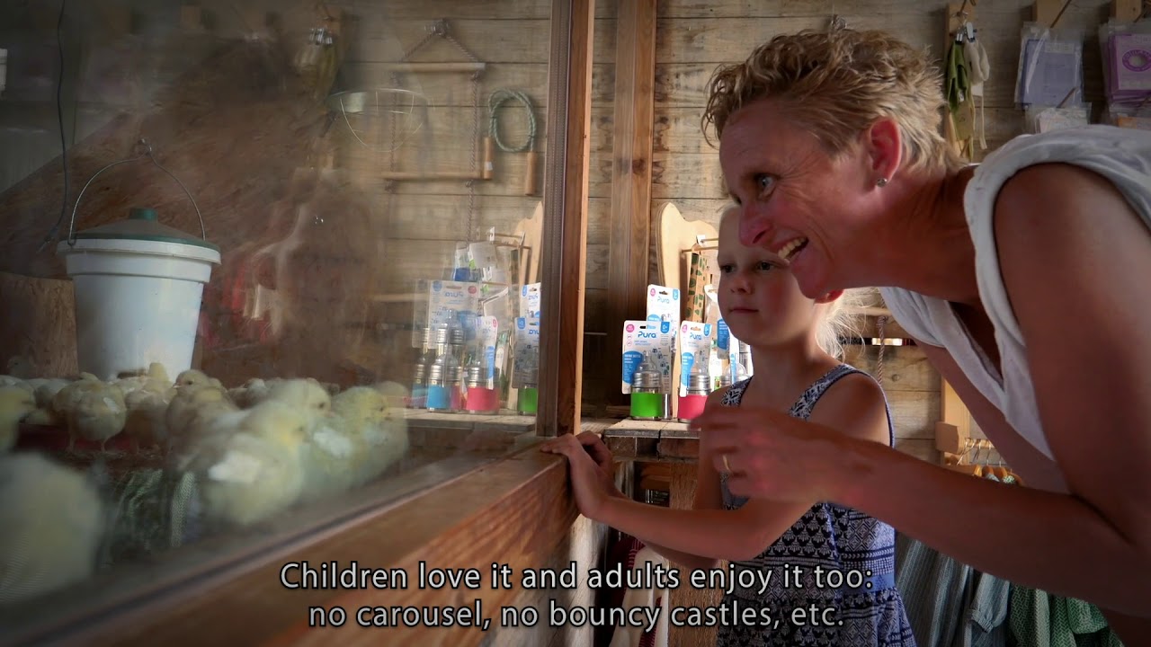 Growing ideas: Fruittuin van West, the fruit farm in the city (EN subs)